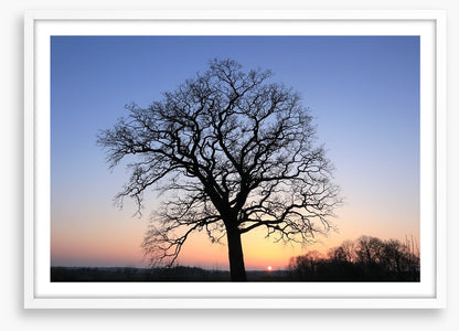 Sky silhouette
