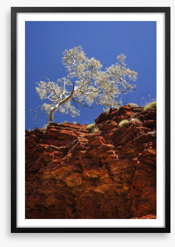 Ghost gum cliff