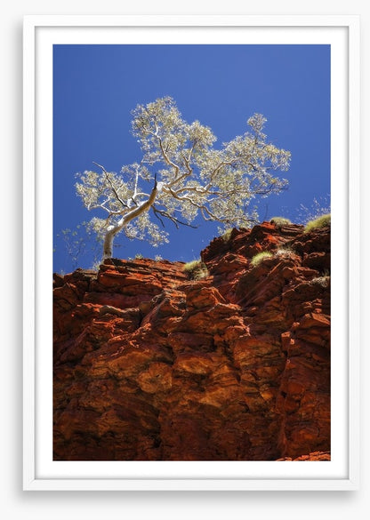 Ghost gum cliff