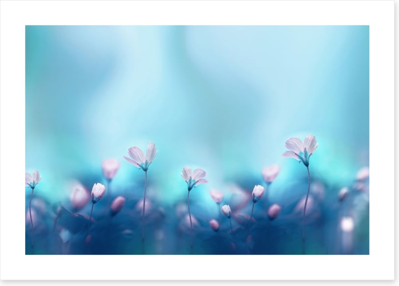 The dance of spring