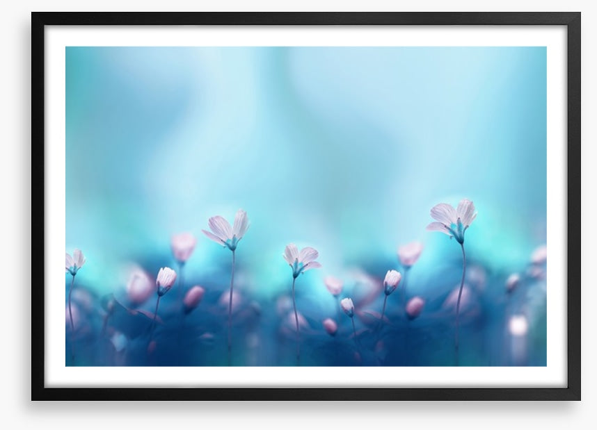 The dance of spring