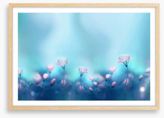 The dance of spring