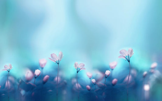The dance of spring