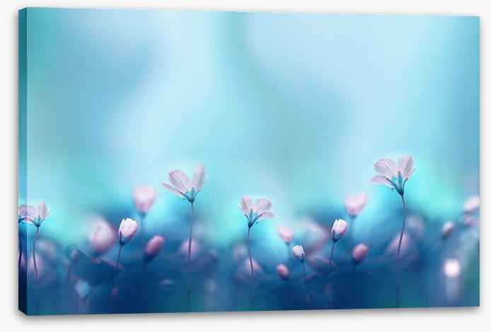 The dance of spring