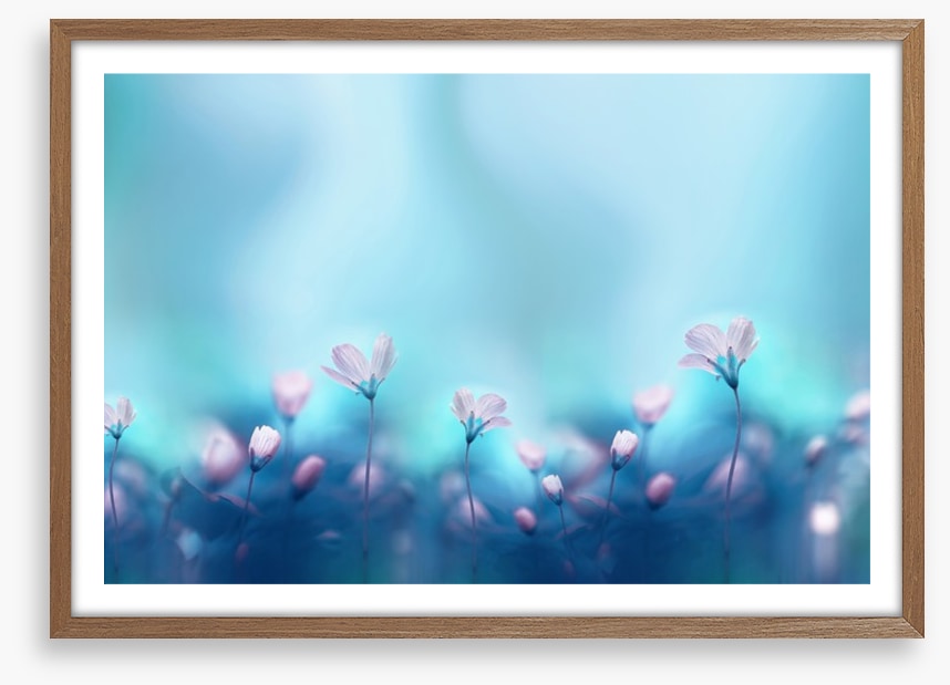 The dance of spring