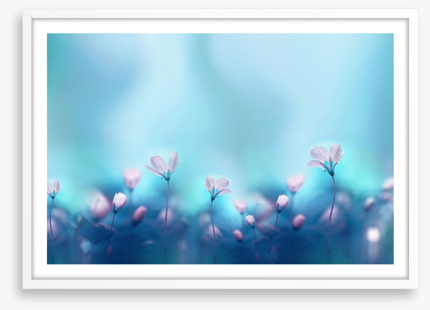 The dance of spring