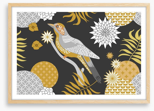 Silver lark