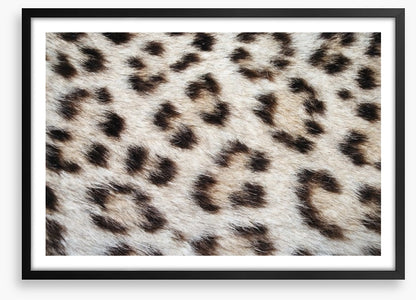 Animal Print