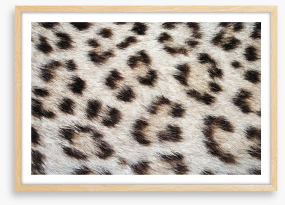 Animal Print