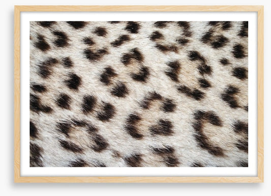 Animal Print