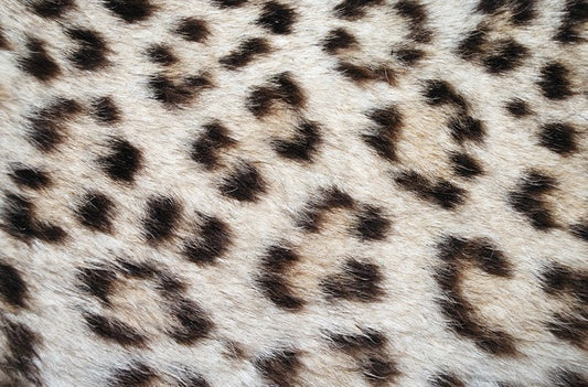 Animal Print
