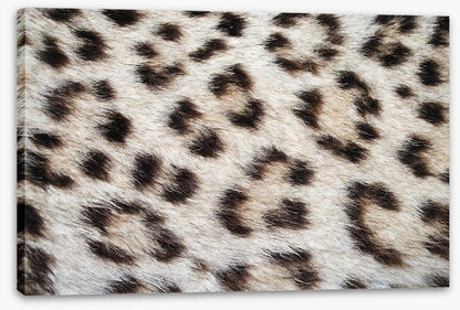 Animal Print