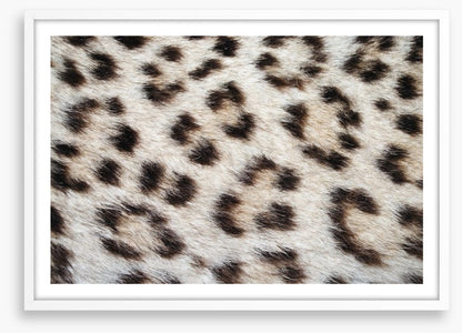 Animal Print