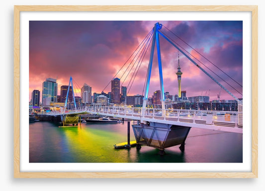 Auckland sunrise shimmer