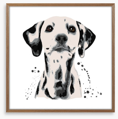 Dots off a dalmatian