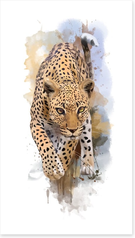 Stalking leopard