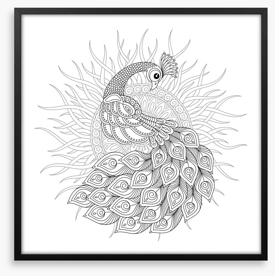 Colour me peacock sun