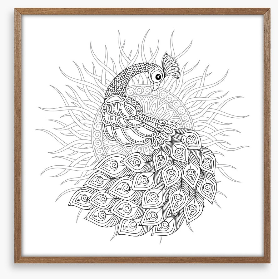 Colour me peacock sun