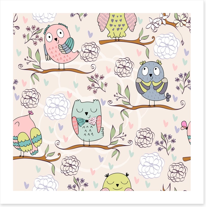 Owls