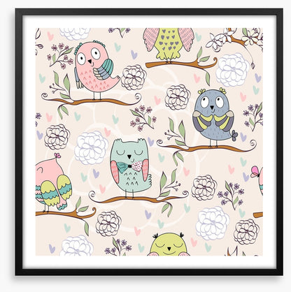 Owls