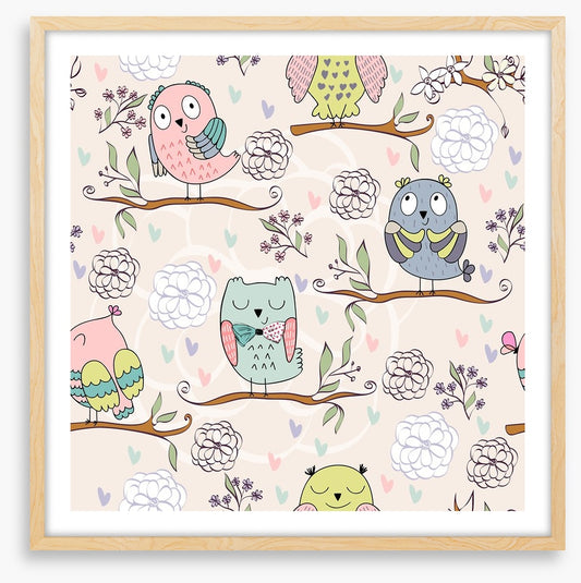 Owls