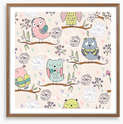 Owls