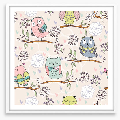 Owls