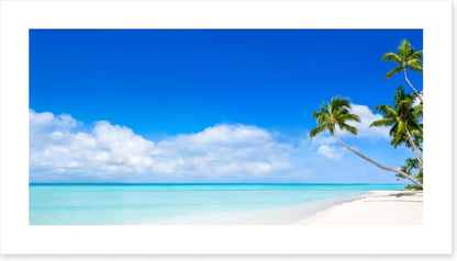 Pure paradise