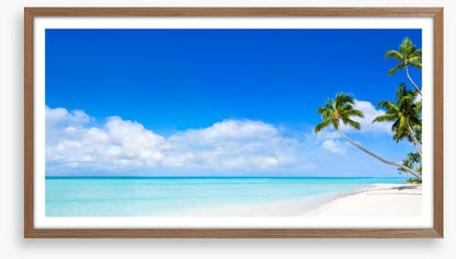 Pure paradise