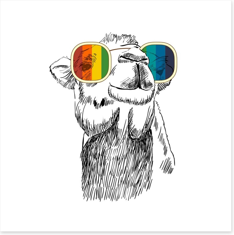 Retro camel