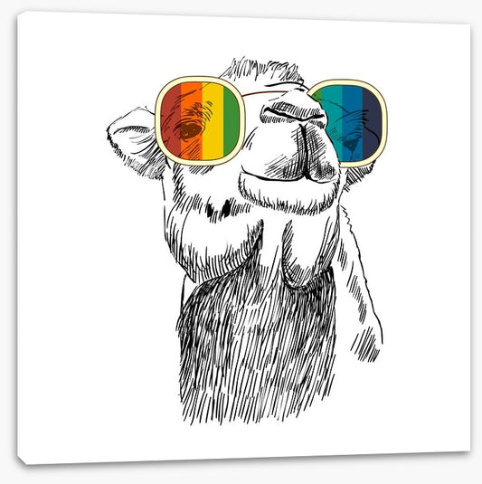 Retro camel