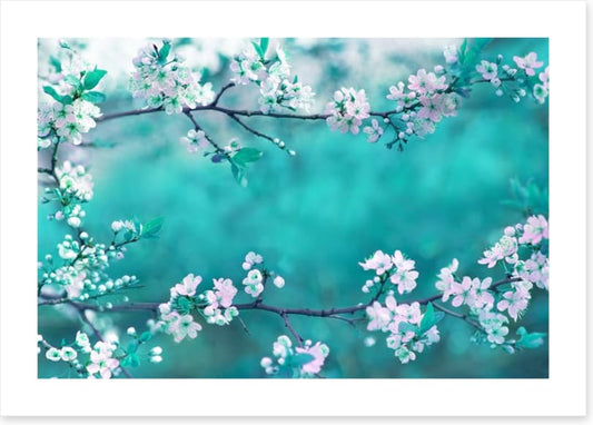 Sakura season