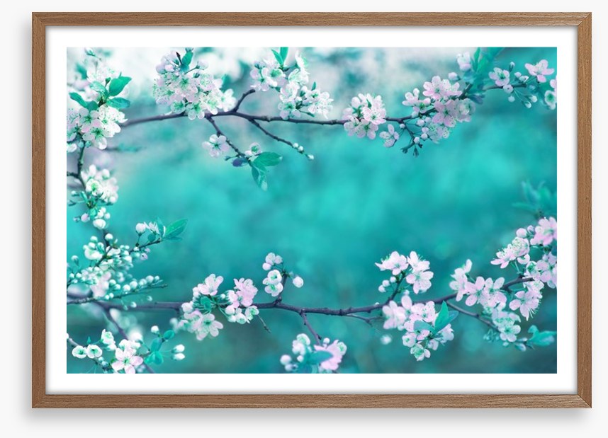 Sakura season