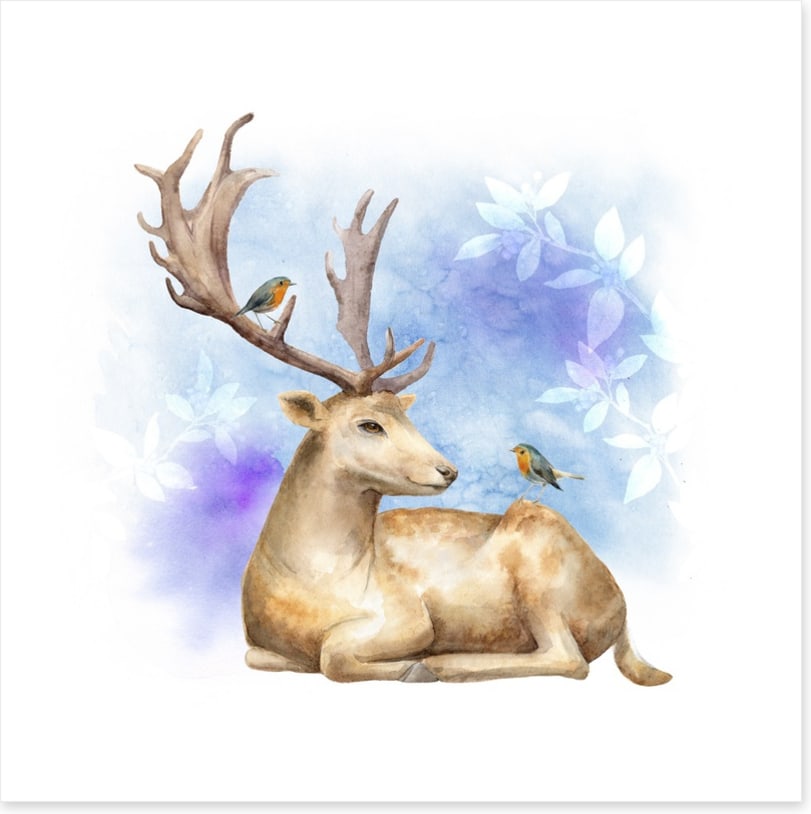 Reindeer robins