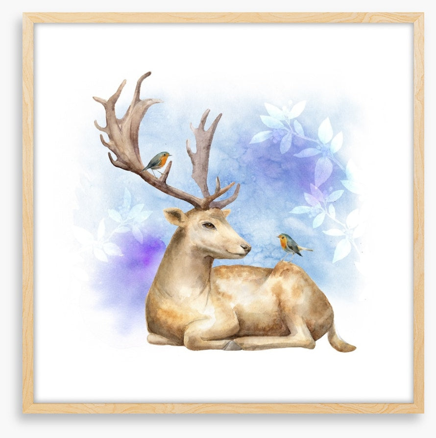 Reindeer robins