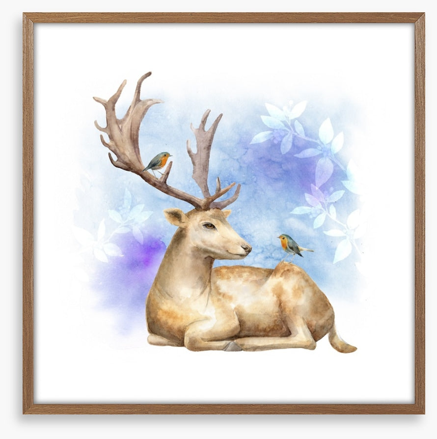 Reindeer robins