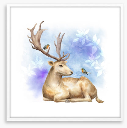 Reindeer robins