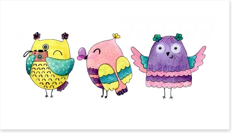 Owls