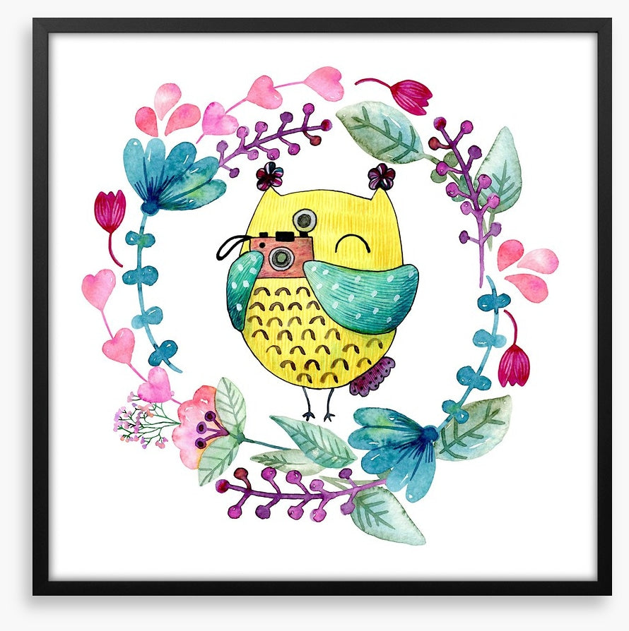 Owls