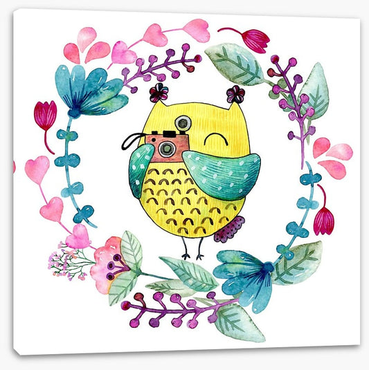 Owls