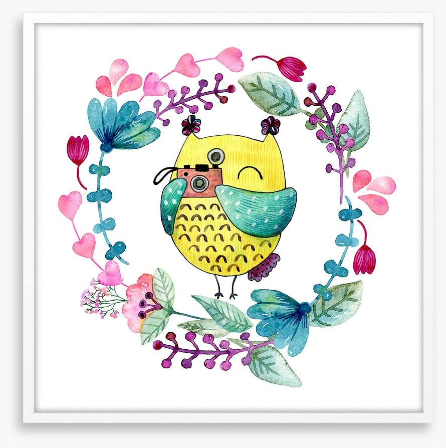 Owls