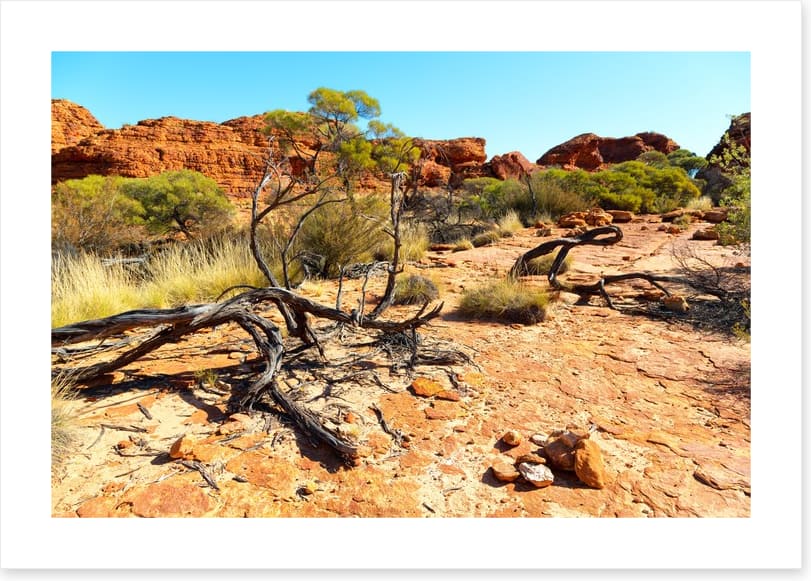 Kings Canyon climb
