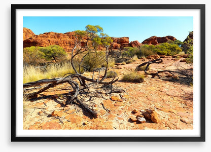 Kings Canyon climb