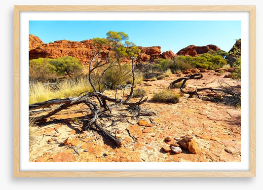 Kings Canyon climb