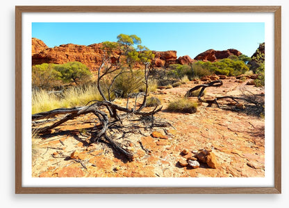 Kings Canyon climb