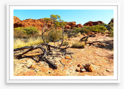 Kings Canyon climb