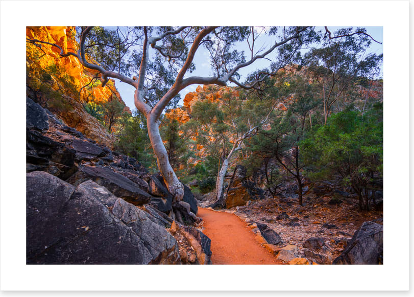 Path less travelled