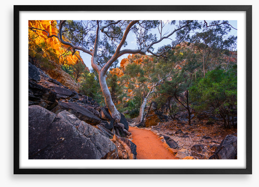 Path less travelled