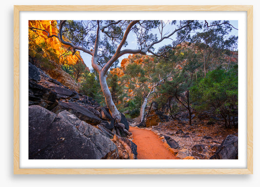 Path less travelled