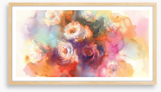 A splash of white roses